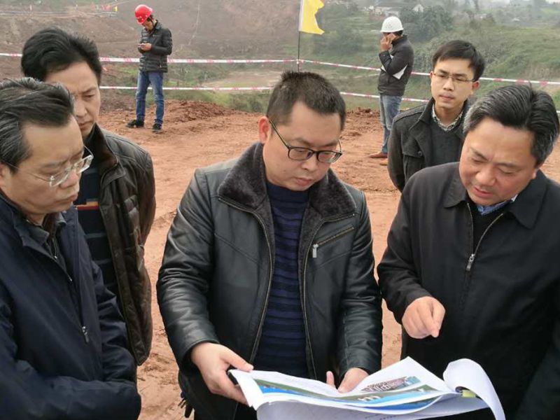 丁湘副市長調研長江生態(tài)濕地公園建設