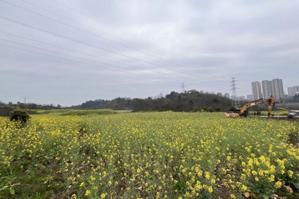 龍窩溝苗圃項目正式開工 助力瀘州打造生態(tài)宜居城市