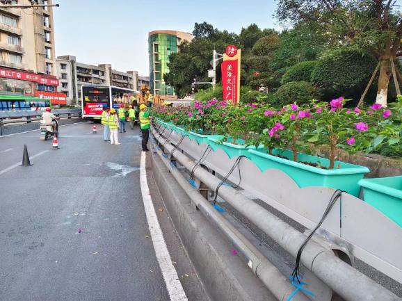 花映兩橋·綠滿酒城—興綠園林公司實(shí)施沱江一橋、連心橋景觀升級(jí)工程   