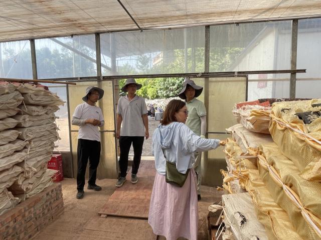 瀘州城投花木公司與北京花木公司專家團(tuán)隊(duì)開(kāi)展技術(shù)交流